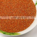 2013 crop red millet bird and fish seeds
