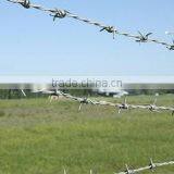 Razor Barbed Wire/Galvanied Razor Barbed Wire Fence/Razor Barbed Wire Fencing Wholesale(Factory) thumbnail-3