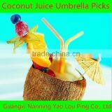 Manufactural Factory Supply Graduation Party Supplies