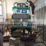 2017 Intelligent Image Double Side Ccd Camera Oats Color Separation Machine thumbnail-5