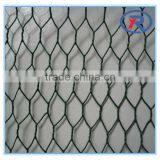 Trade Assurance 1 Inch Galvanized Welded Wire Mesh thumbnail-4