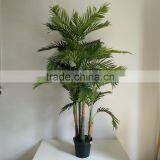 decorative Hawaii kwai artificial kwai tree fake palm tree