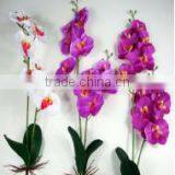 Artificial Orchid Flower for Decoration in Factory Price thumbnail-2