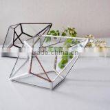 Geometric Shape Glass Terrarium Plant Holder thumbnail-5
