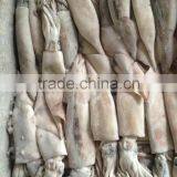 100-200g Frozen Japanese Squid thumbnail-1