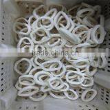 Delicious Frozen HACCP Frozen Squid Ring thumbnail-4