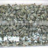 Seafood Frozen Canned Baby Clam thumbnail-5