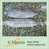 Types of Pacific Tuna Fish(kmw4007) thumbnail-1