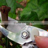 Steel Pruning Tools Garden Hand Prunner thumbnail-3