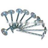 Roofing Nails/roofing Nail Supplies thumbnail-4