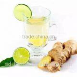 Hot Sale Instant Lemon Ginger Tea, Instant Herbal Slimming Tea, Instant Ginger Drink thumbnail-4