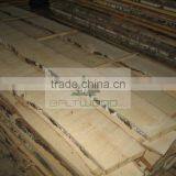 High Quality Unedged Birch Timber thumbnail-4
