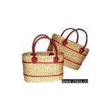 Water Hyacinth thumbnail-1