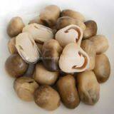 CANNED STRAW MUSHROOM/IN BRINE thumbnail-3