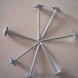 Galvanized Roofing Nails