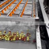 carrot cleaning machine potato washing machine vegetable washing line