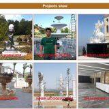 Shijiazhuang Alpha Trade Co.,Ltd. company overview - view 2 thumbnail