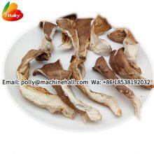 High Quality Dried Oyster Mushrooms Wholesale Price thumbnail-3