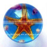 R2002HJ01Y Sea Life Sphere Crystal thumbnail-1