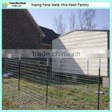 Regular Duty 1.25lb /f Pvc Coated Price Metal t Post for Field/farm Fence