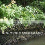 Hexagonal Wire Mesh,Chiken Wire Mesh