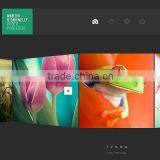 Professional Photography Websites thumbnail-2