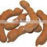 Tamarind thumbnail-1