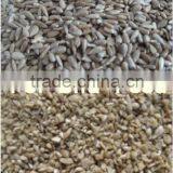 Bakery and Confectioanry Sunflower Seed Kernels ,2015 New Crop thumbnail-2