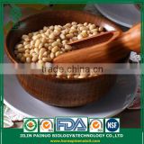 Direct Manufacture Organic Particle Filled Korean Pine Nut Kernels