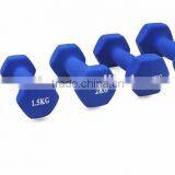 Exercise Equipment Cast Iron Neoprene Dumbbell for Women thumbnail-5