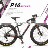 P16- CARBON FAT BIKE thumbnail-1