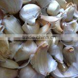 Garlic Peeling Belt Color Sorting Machine thumbnail-3