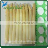 Asparagus in Tamil Asparagus thumbnail-1