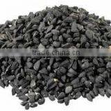 Onion Seeds in India` thumbnail-2