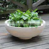Luxury Top Quality Floating Bonsai Pot Fiberglass Plants Container and Flowers Pots thumbnail-4