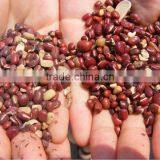 Soya Bean Polishing Machine thumbnail-2