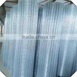 2x2 Galvanized Pvc Coated Welded Wire Mesh/ Welded Wire Mesh Panel thumbnail-3