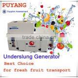 Container Used Underslung 16kw Generator for Reefer for Fresh Seafood thumbnail-3