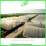 100x8m Agricultural Plastic Tunnel Greenhouse for Sale thumbnail-4
