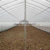 Simple Structure Tunnel Greenhouse For Vegetables/Flowers/Fruits thumbnail-3