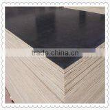 Black Film Faced Plywood Marine Plywood thumbnail-5