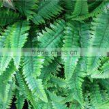 100*100*25cm Home Garden Decorative Indoor Vertical Plastic Artificial Green Plant Walls ZWQ09 219 thumbnail-1