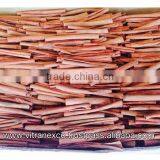 Cinnamomum Quilling thumbnail-3