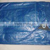 Agricultural pe Tarpaulin in Standard Size thumbnail-3