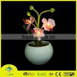 Beautiful Led Plastic Rose Flower With Lighting Home Decoration thumbnail-2