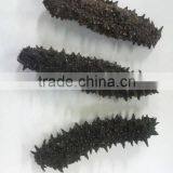 Price of Dried Sea Cucumber for Chinese Foods , Paid Sample Also Available thumbnail-2