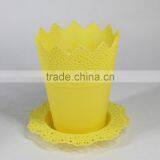 Colourful Flower Pot thumbnail-4