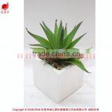 Artificial Mini Aloe Little Plants Succulents Plants Artificial Mini Succulents thumbnail-2