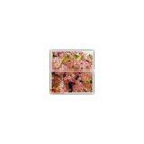 Wholesale to Asia 2.8m Artificial White &pink Wedding Blossom Decor thumbnail-5