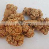 Top Quality Organic Panax Notoginseng Root/Powder thumbnail-1